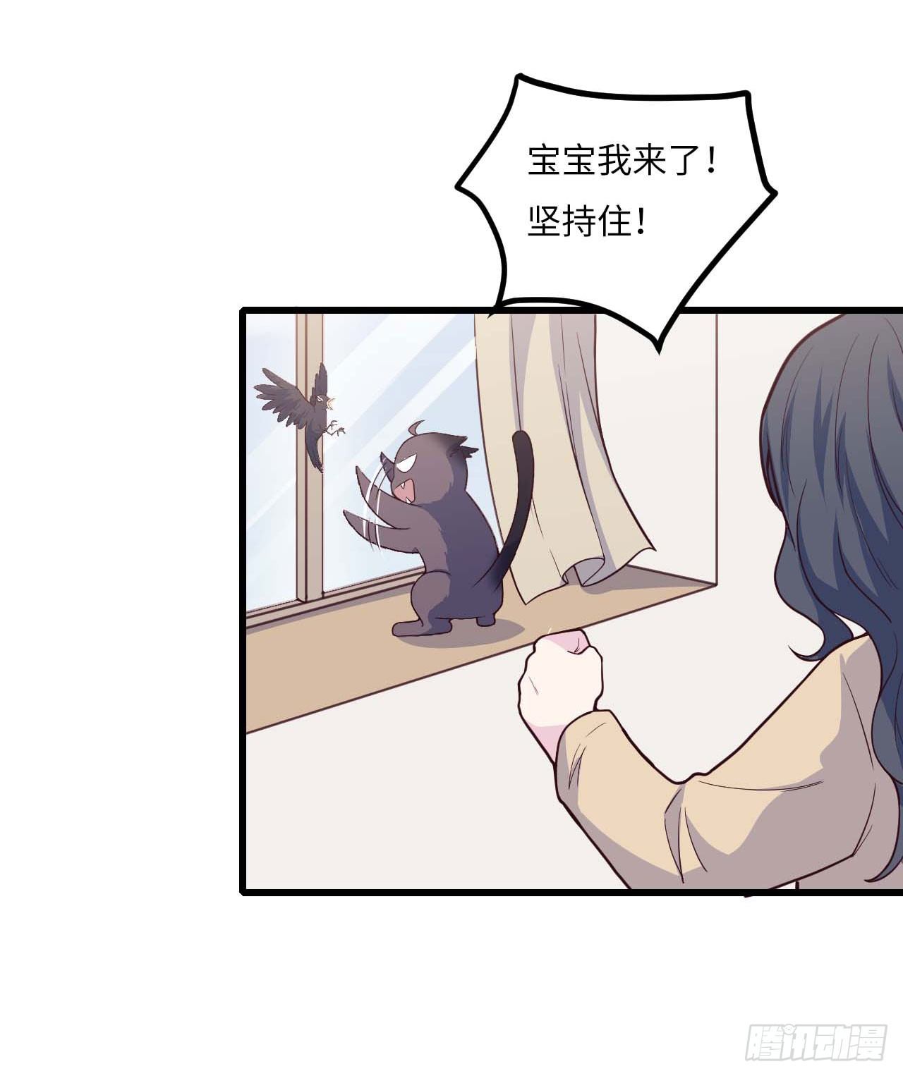 【特别篇】是乌鸫不是乌鸦2-第135话