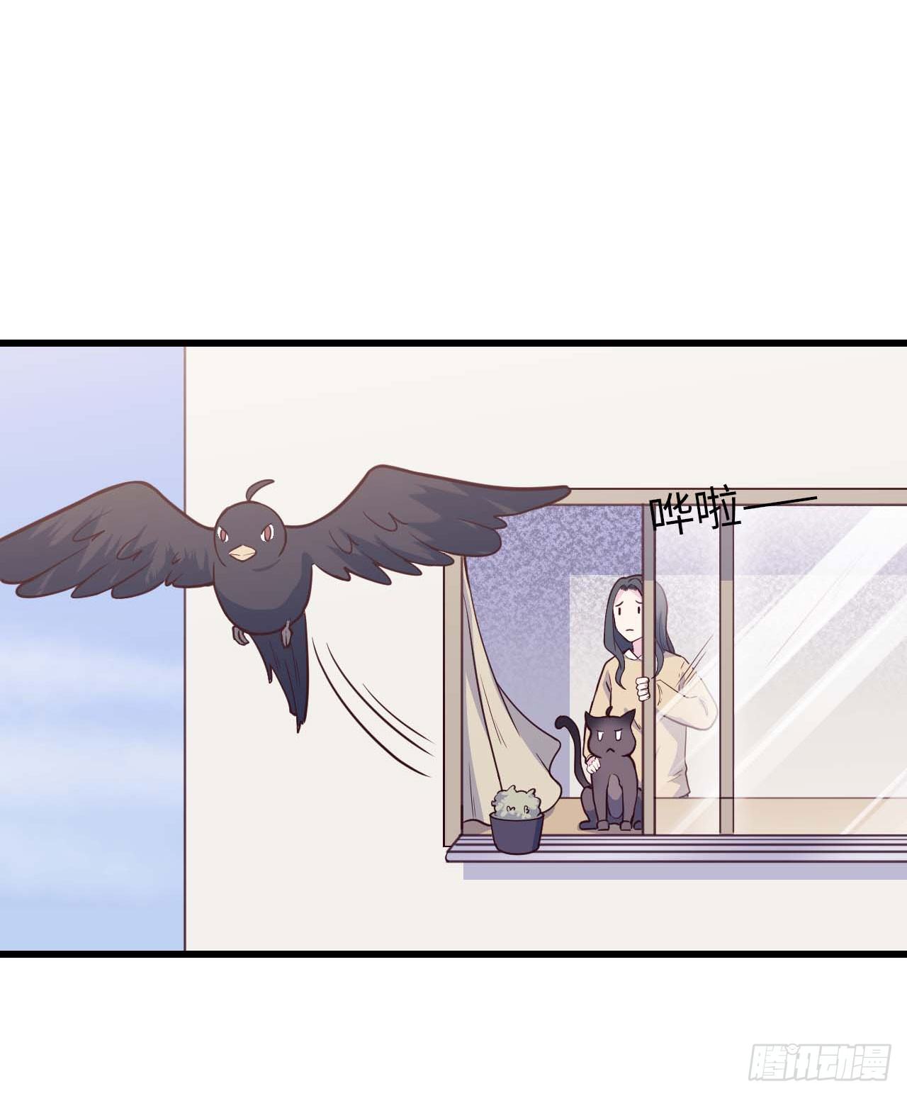 【特别篇】是乌鸫不是乌鸦2-第135话