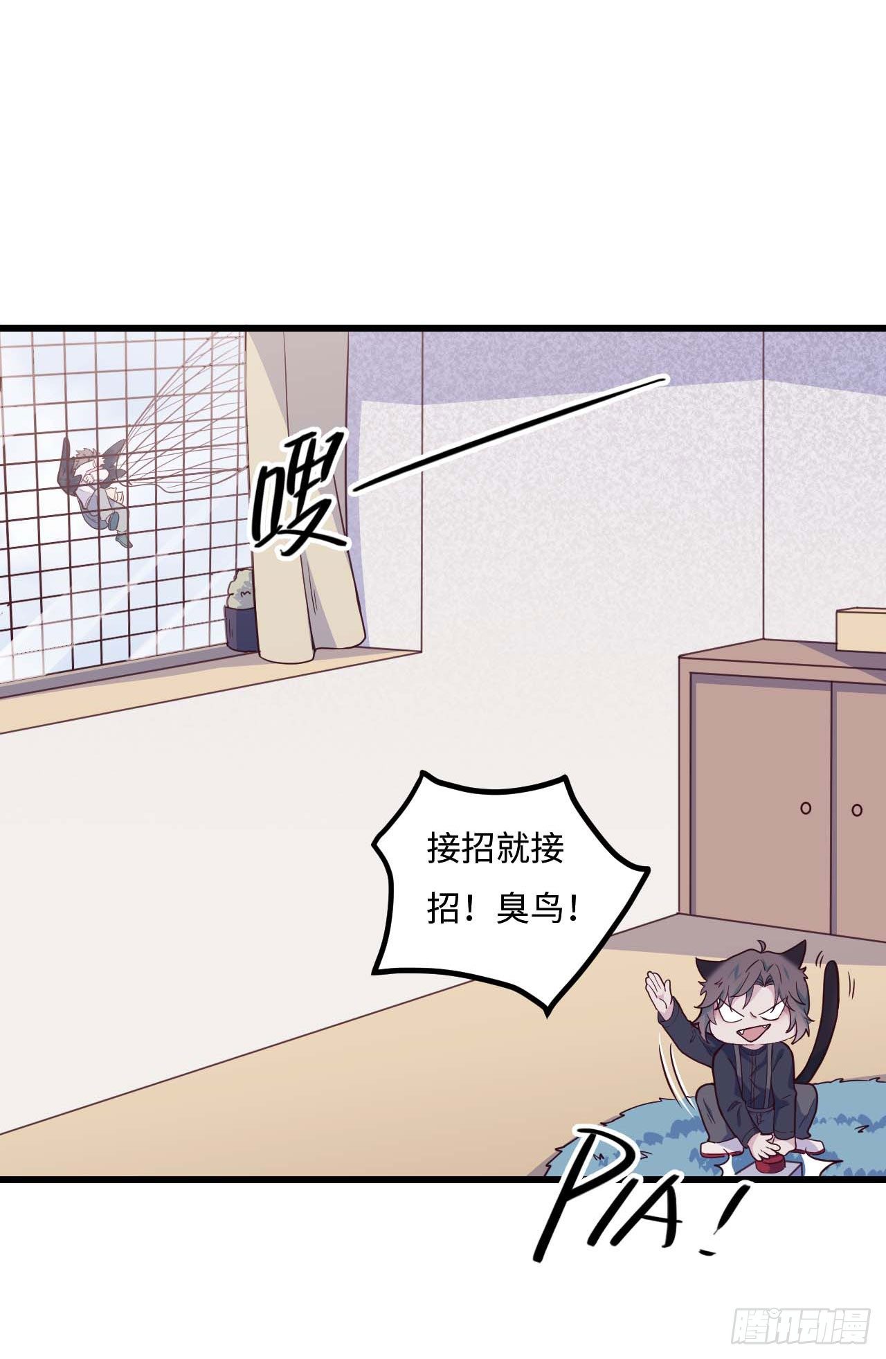 【特别篇】是乌鸫不是乌鸦2-第135话