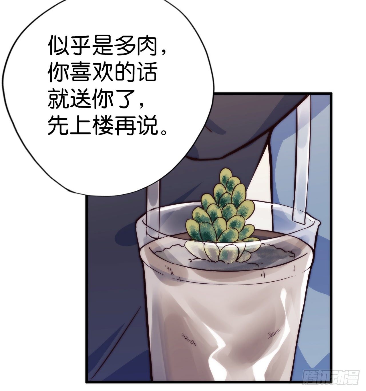 【第2话】多肉-第3话