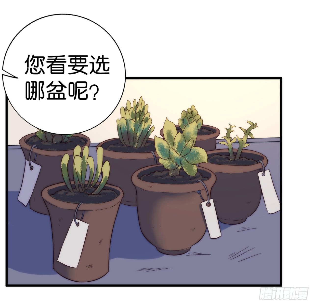 【第2话】多肉-第3话