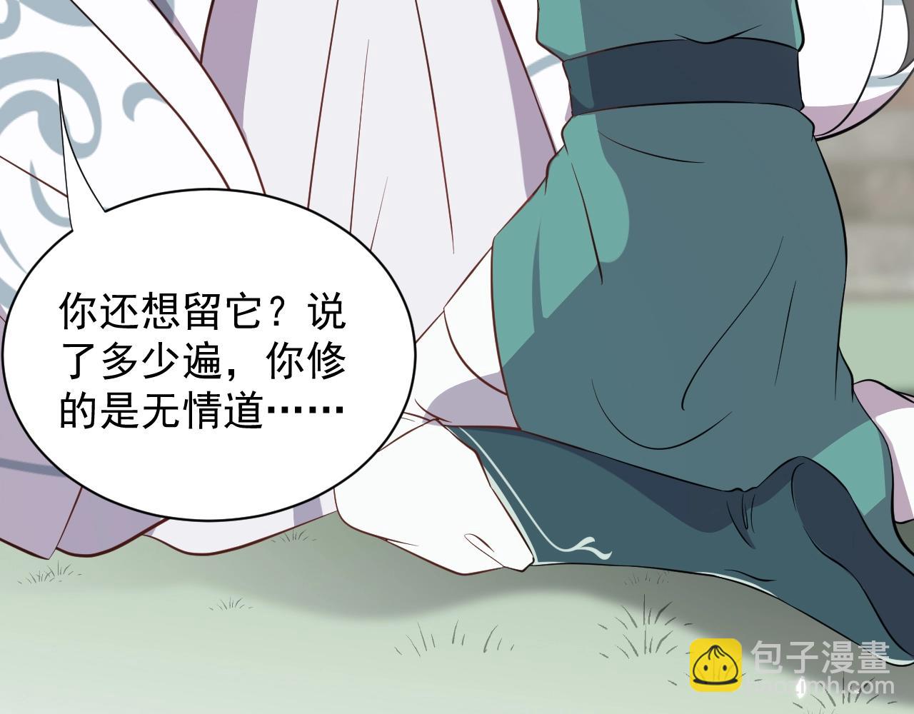 第14话 捡到一只毛球球(1/3)-第15话