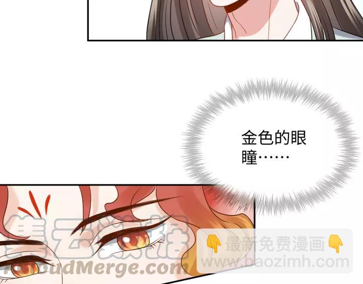 第48话 凤凰的逆天能力(1/3)-第57话