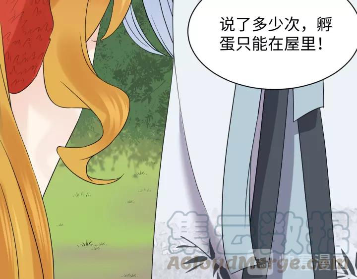 第48话 凤凰的逆天能力(1/3)-第57话