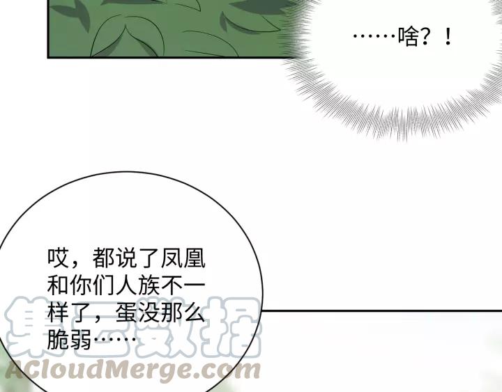 第48话 凤凰的逆天能力36