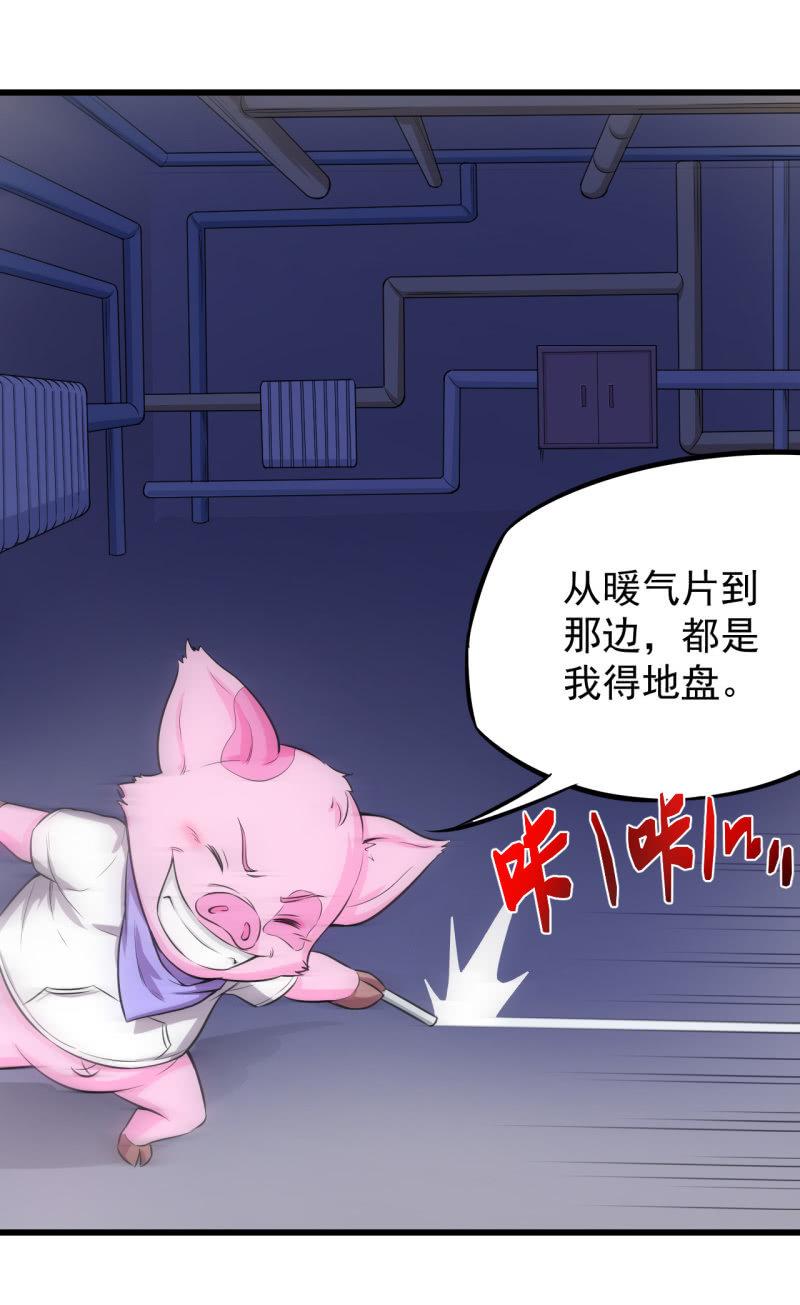 第18话 猪脚上线-第19话