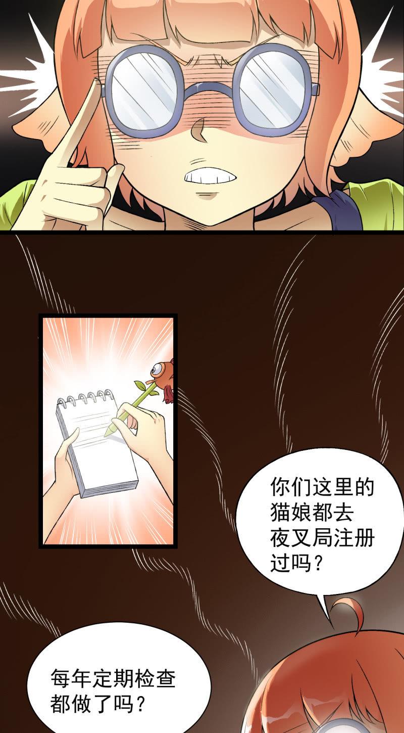 第34话 猫娘也要按基本法-第35话