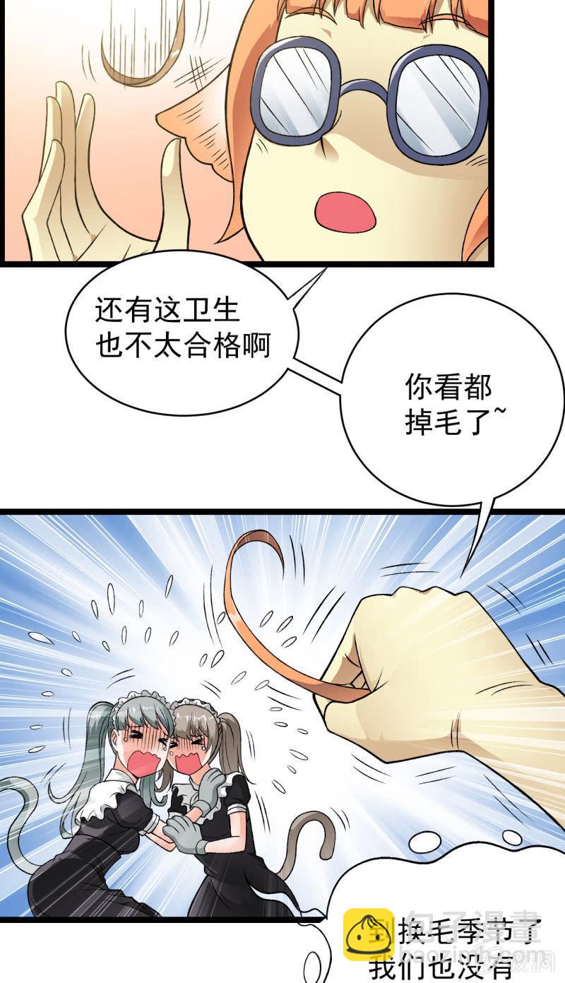 第34话 猫娘也要按基本法-第35话