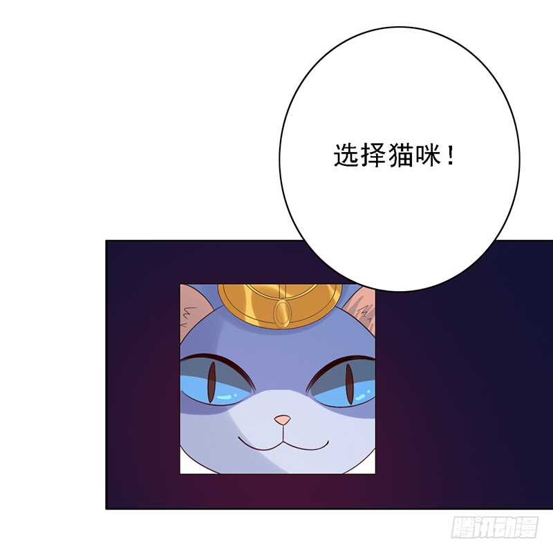 第97话：恐怖的猫咪15