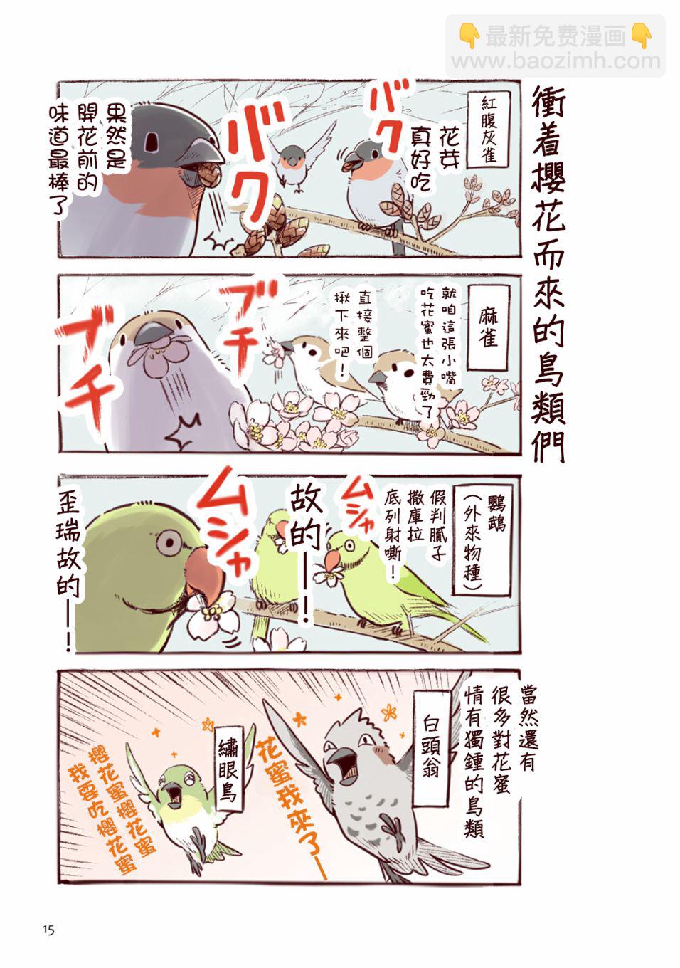 野生動物竟在我身邊 - 春 - 3