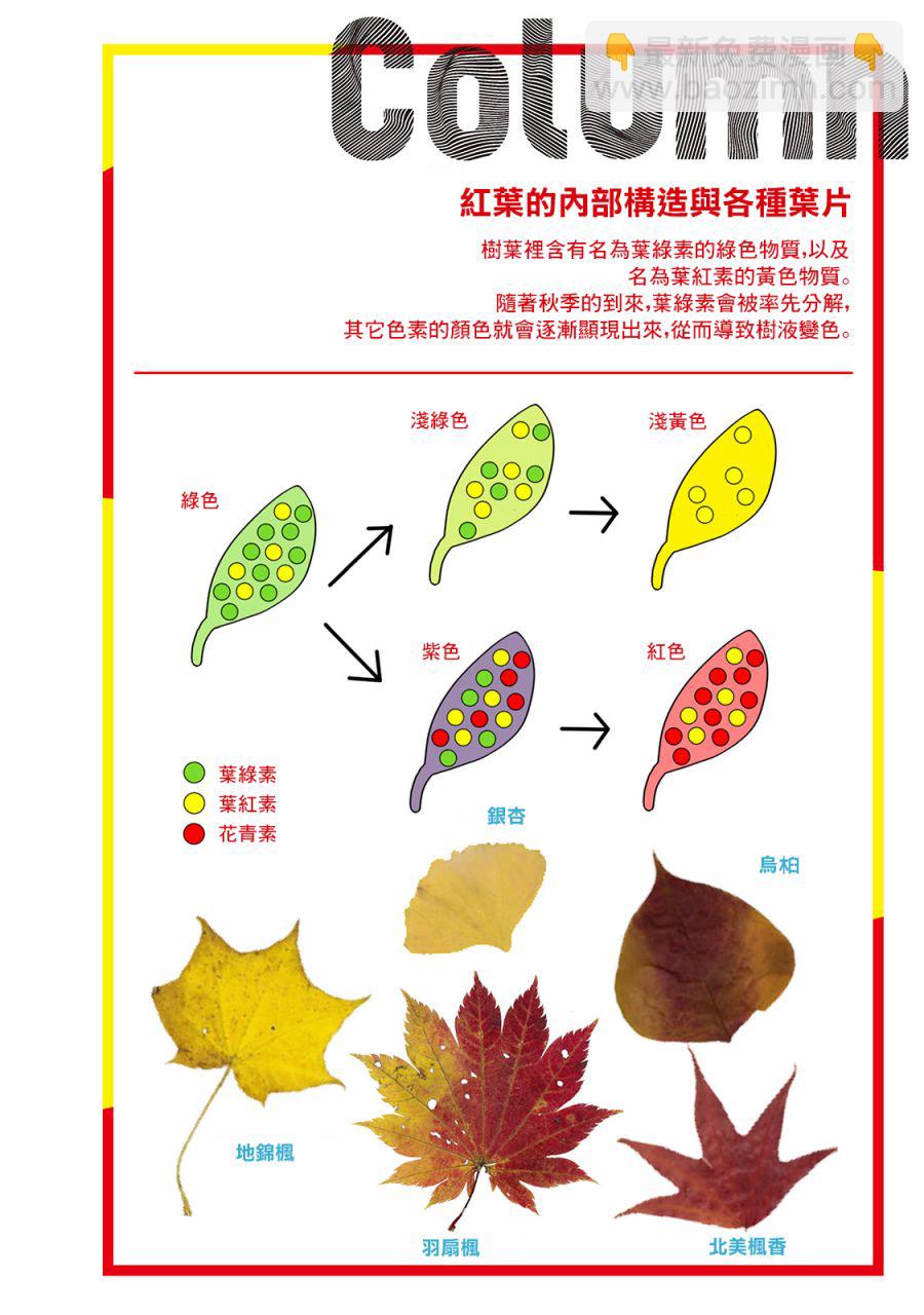 野生動物竟在我身邊 - 秋 - 3