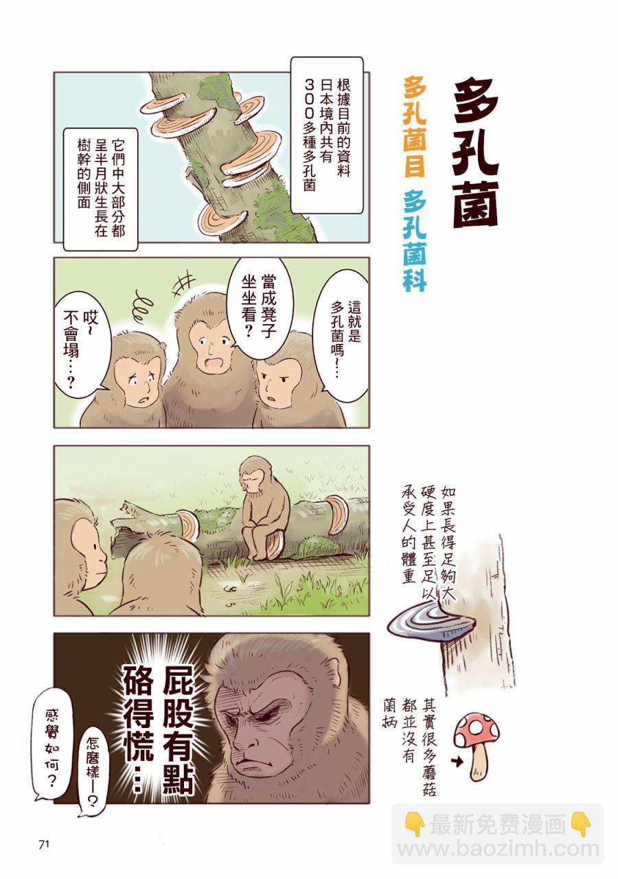 野生動物竟在我身邊 - 秋 - 6