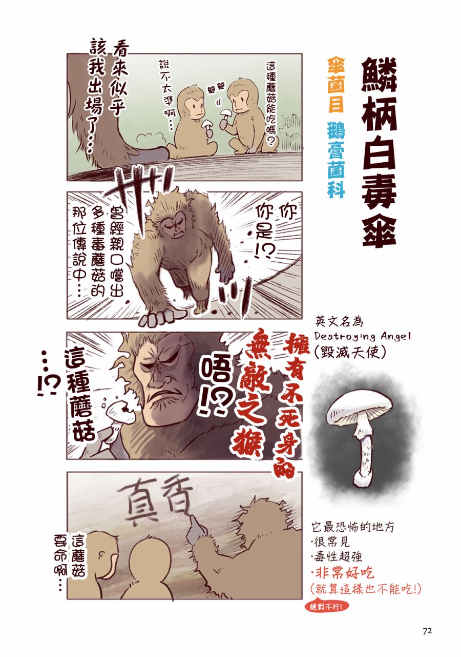 野生動物竟在我身邊 - 秋 - 1