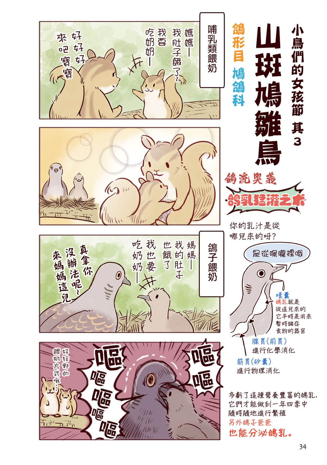 野生動物竟在我身邊 - 2卷-春 - 7