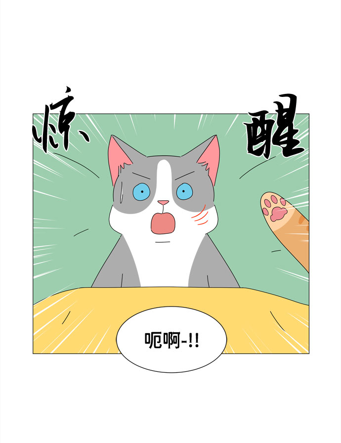 野生天使保護區域 - 第17話 彼此的星星 - 5
