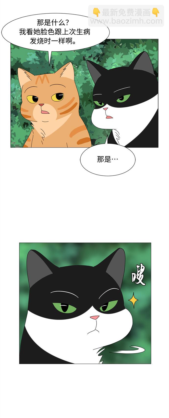 野生天使保護區域 - 第21話 找到書包(1/2) - 8