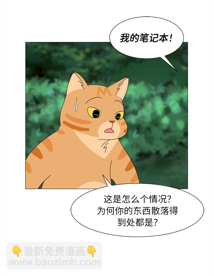 野生天使保護區域 - 第21話 找到書包(1/2) - 5