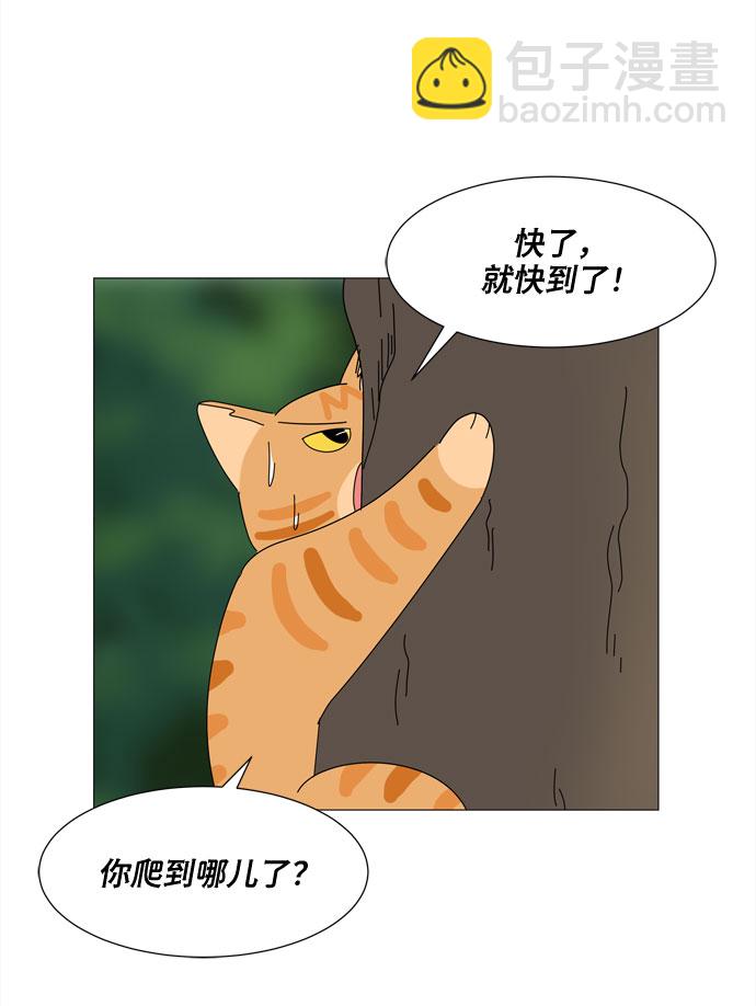 野生天使保護區域 - 第21話 找到書包(1/2) - 5