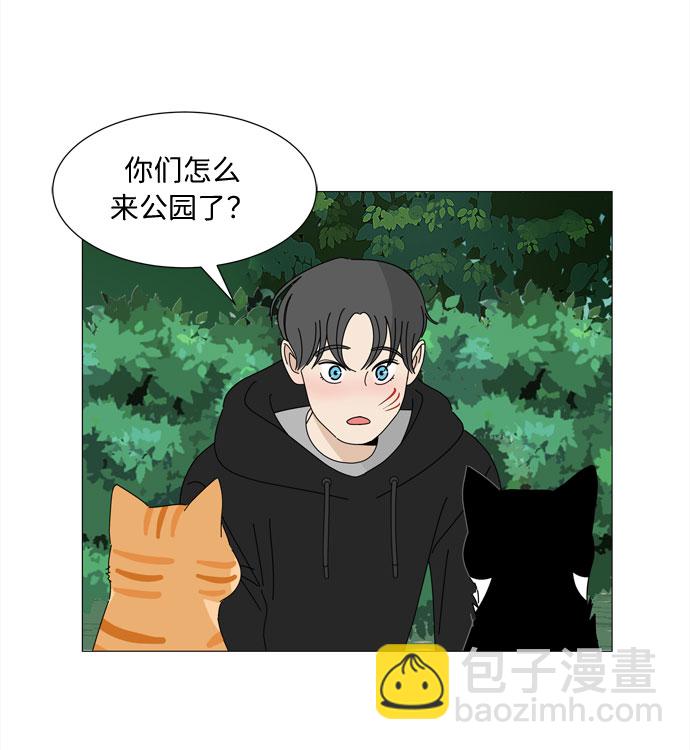 野生天使保護區域 - 第21話 找到書包(1/2) - 7