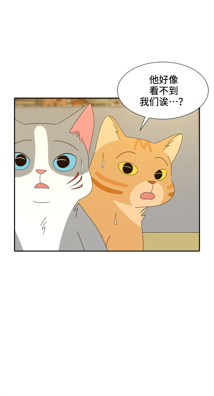 野生天使保護區域 - 第29話 保護你(1/2) - 5