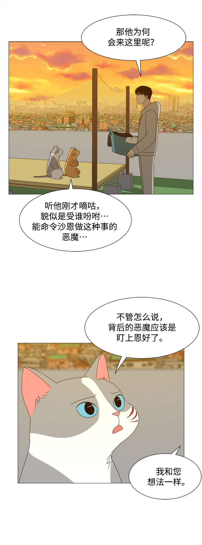 野生天使保護區域 - 第29話 保護你(1/2) - 6
