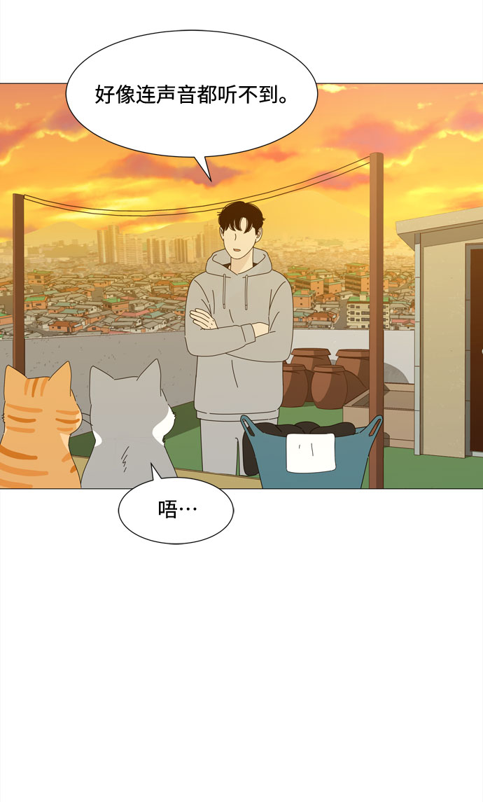 野生天使保護區域 - 第29話 保護你(1/2) - 3