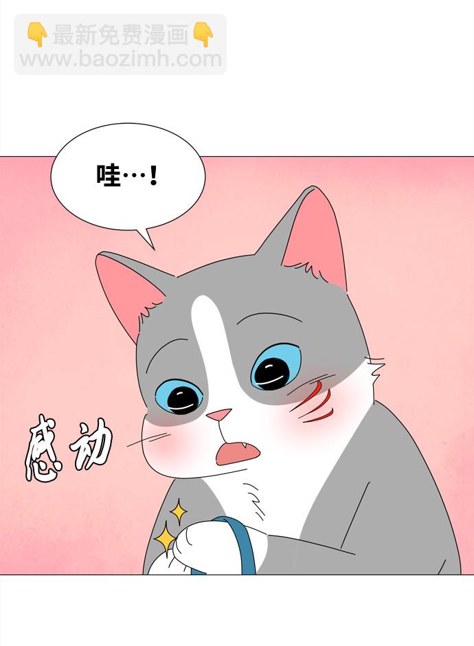 野生天使保護區域 - 第29話 保護你(1/2) - 1