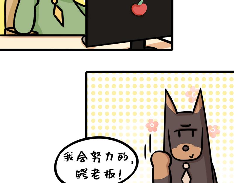 第1话 新人杜宾格报道-第1话