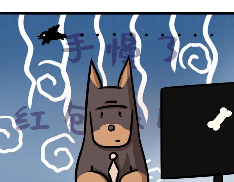 第1话 新人杜宾格报道-第1话