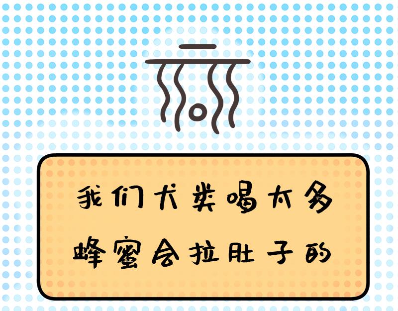 第1话 新人杜宾格报道-第1话