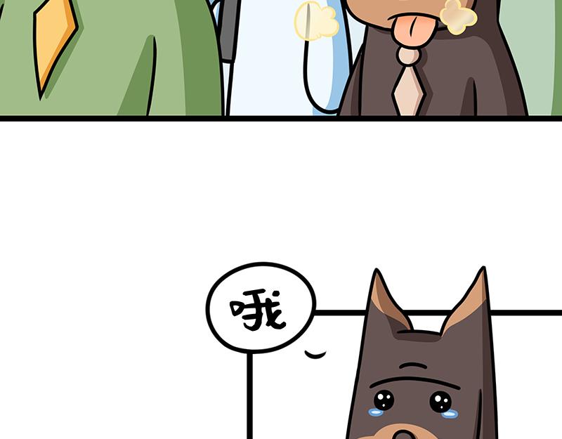 第17话、爱情短暂地来了一下(1/2)-第17话