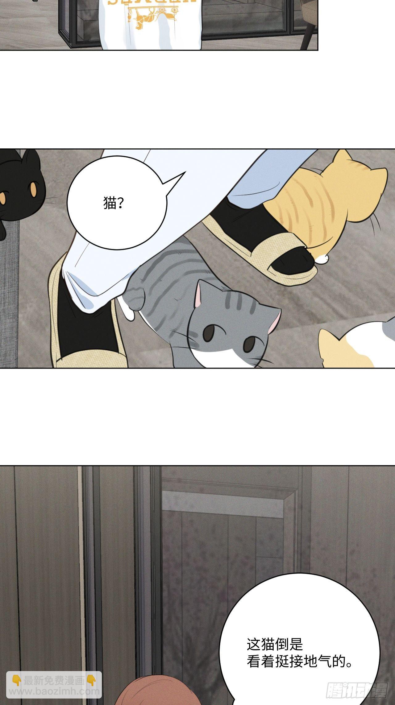 第57话 野猫驯服-第59话