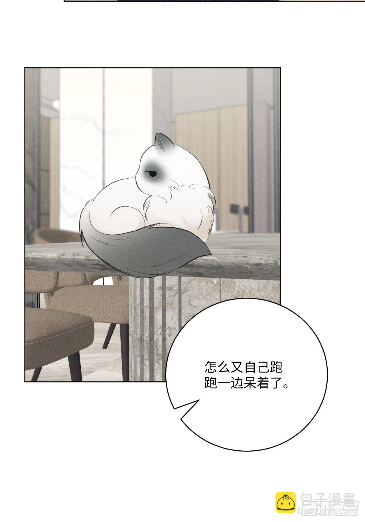 第57话 野猫驯服-第59话