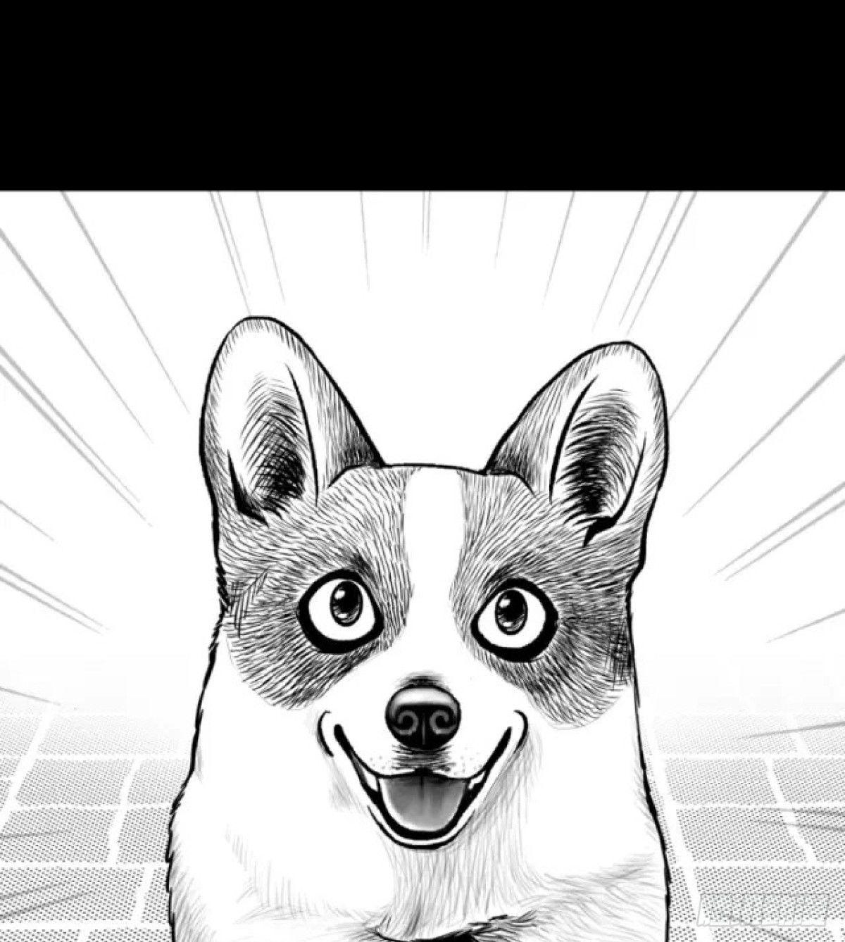 身残志坚还带个狗-第3话