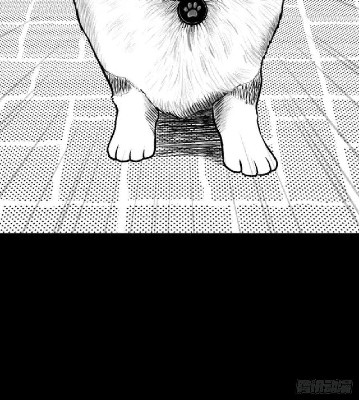 身残志坚还带个狗-第1话