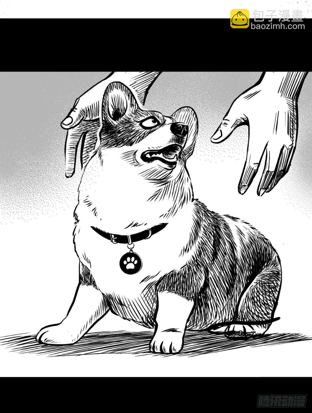 柯基公交车上抓色狼(1/2)-第5话