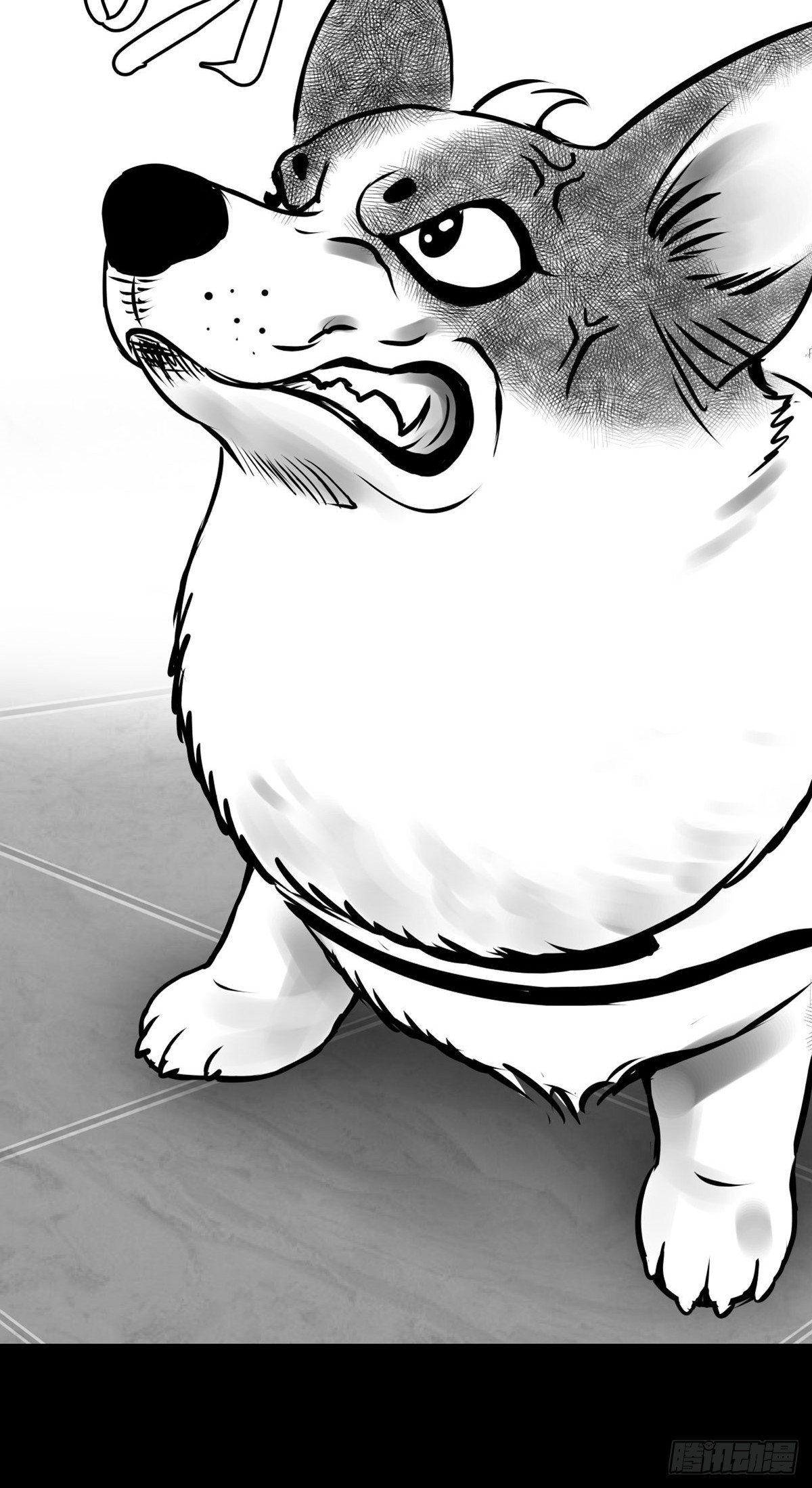 你别拽我裤子啊！(1/2)-第35话