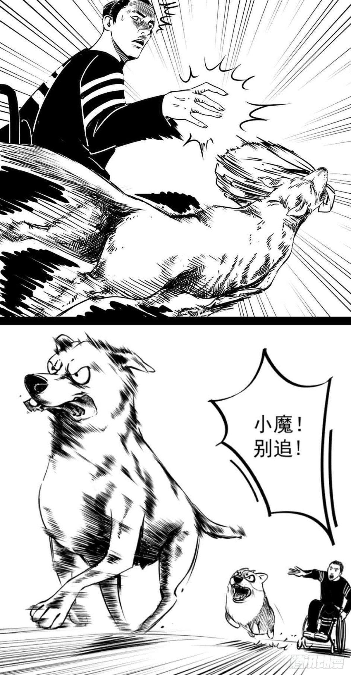 为抢根骨头我坐轮椅追了四条街(1/2)-第37话