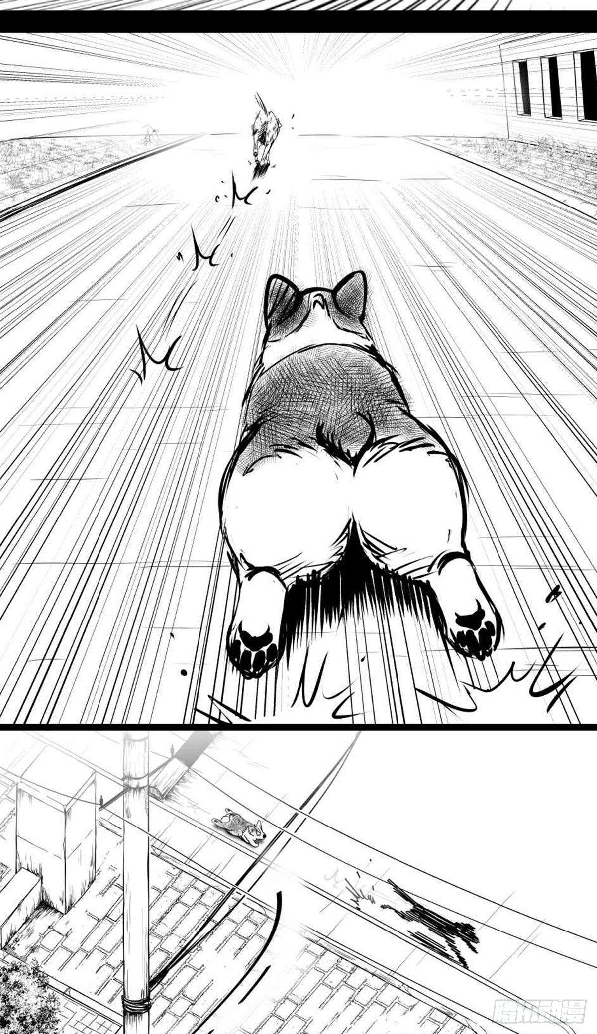 为抢根骨头我坐轮椅追了四条街(1/2)-第37话