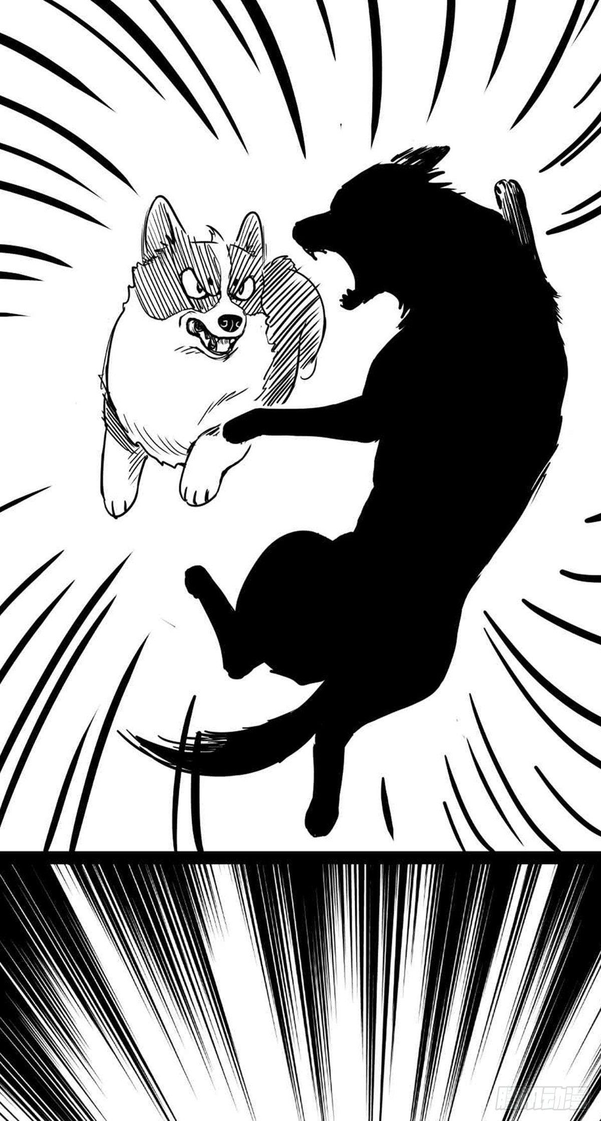 为抢根骨头我坐轮椅追了四条街(1/2)-第37话