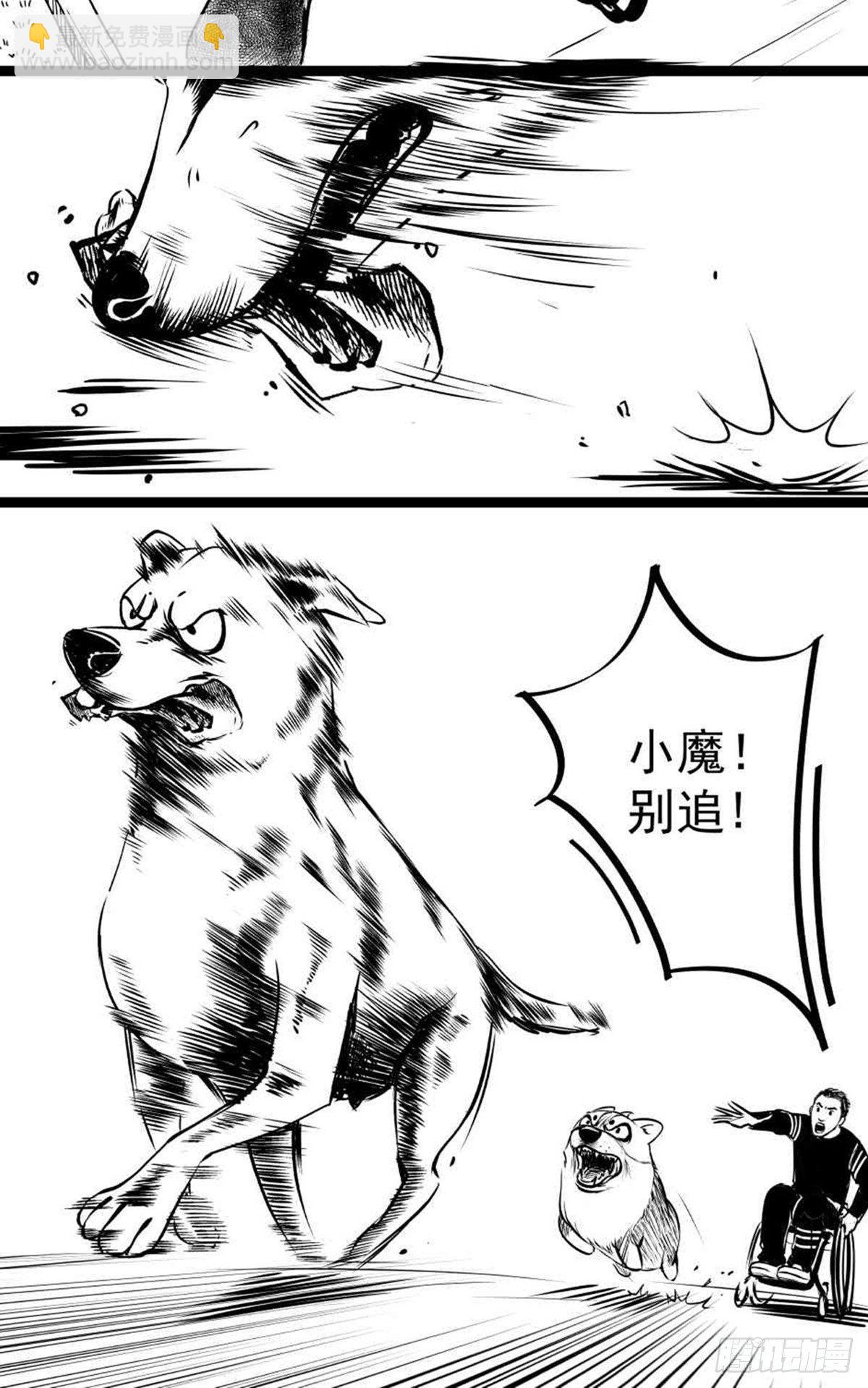 为抢根骨头我坐轮椅追了四条街(1/2)-第37话