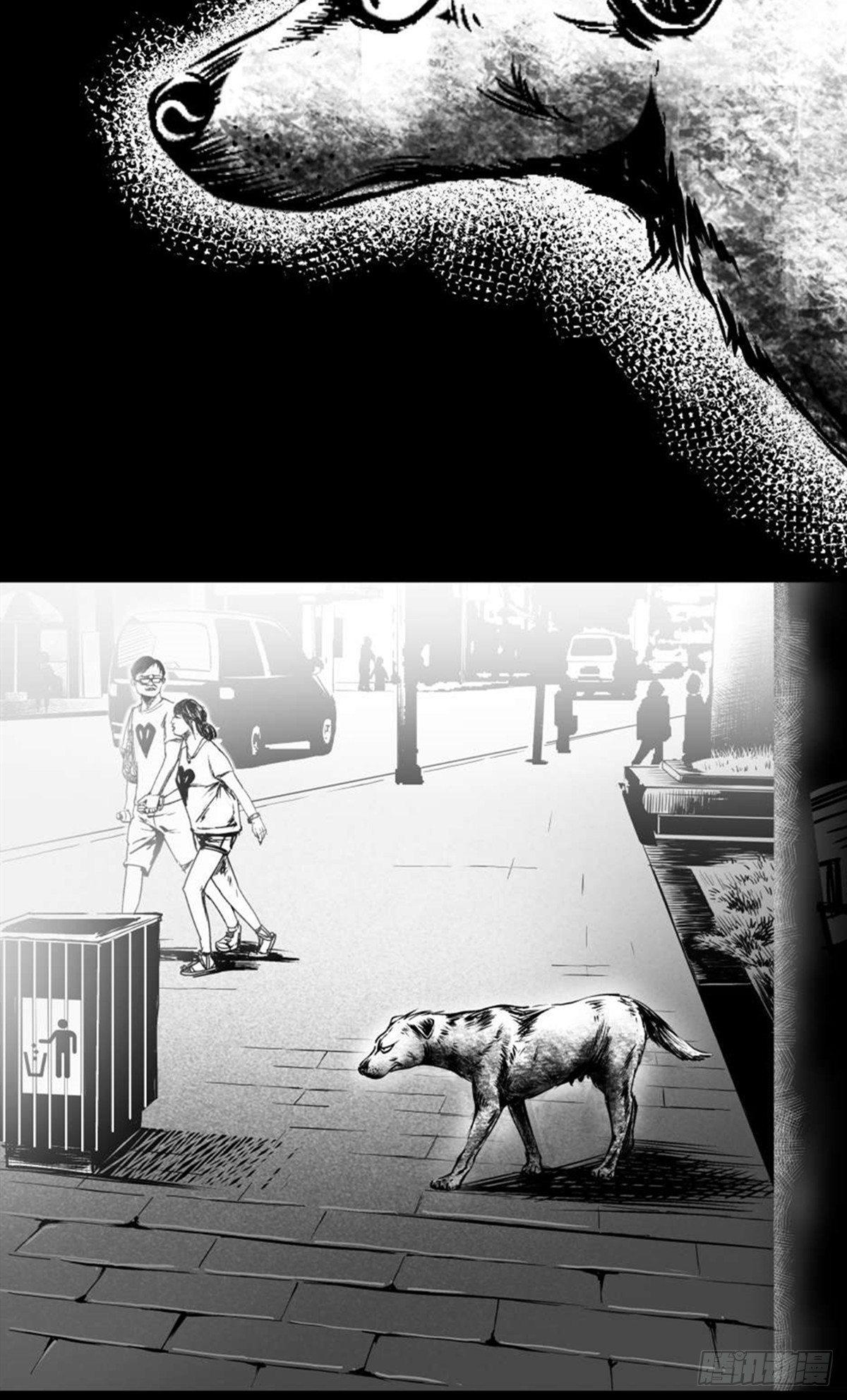 为抢根骨头我坐轮椅追了四条街(1/2)-第37话