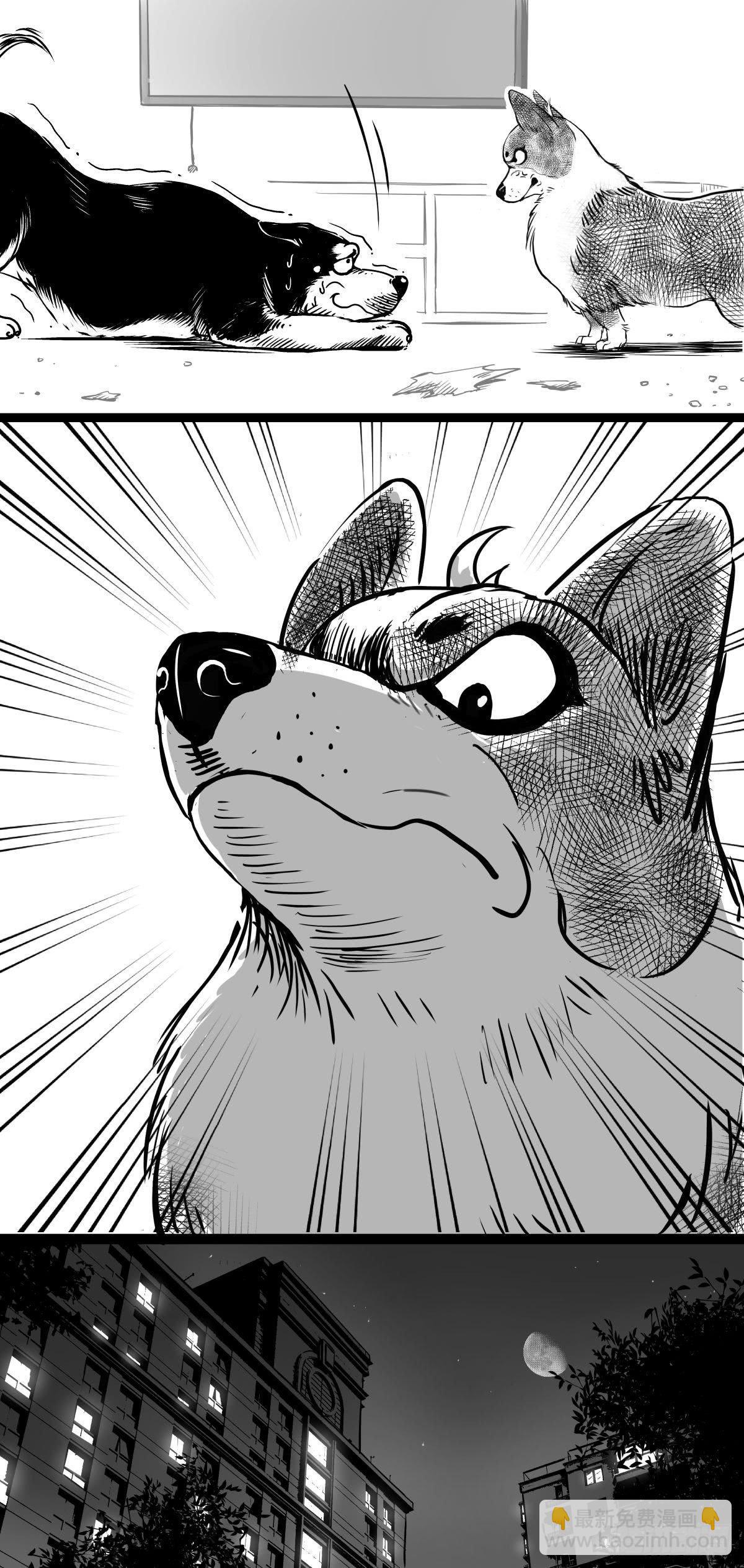 家里有矿啊，敢养哈士奇？(1/3)-第39话