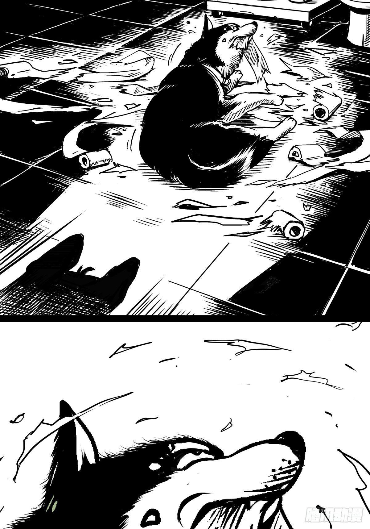 家里有矿啊，敢养哈士奇？(1/3)-第39话