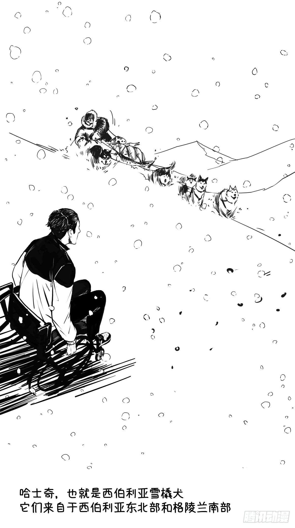 家里有矿啊，敢养哈士奇？(1/3)-第39话