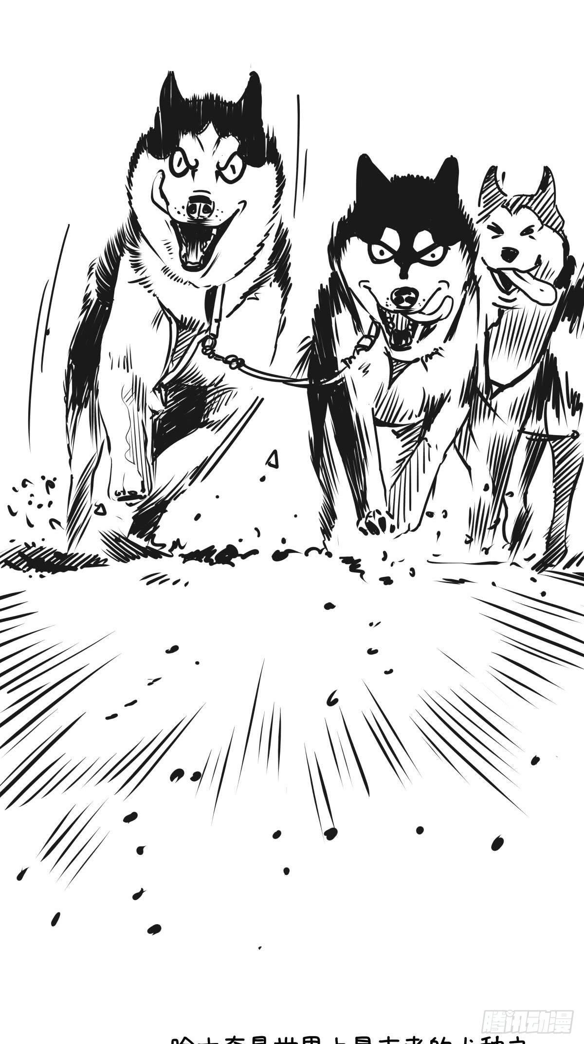 家里有矿啊，敢养哈士奇？(1/3)-第39话