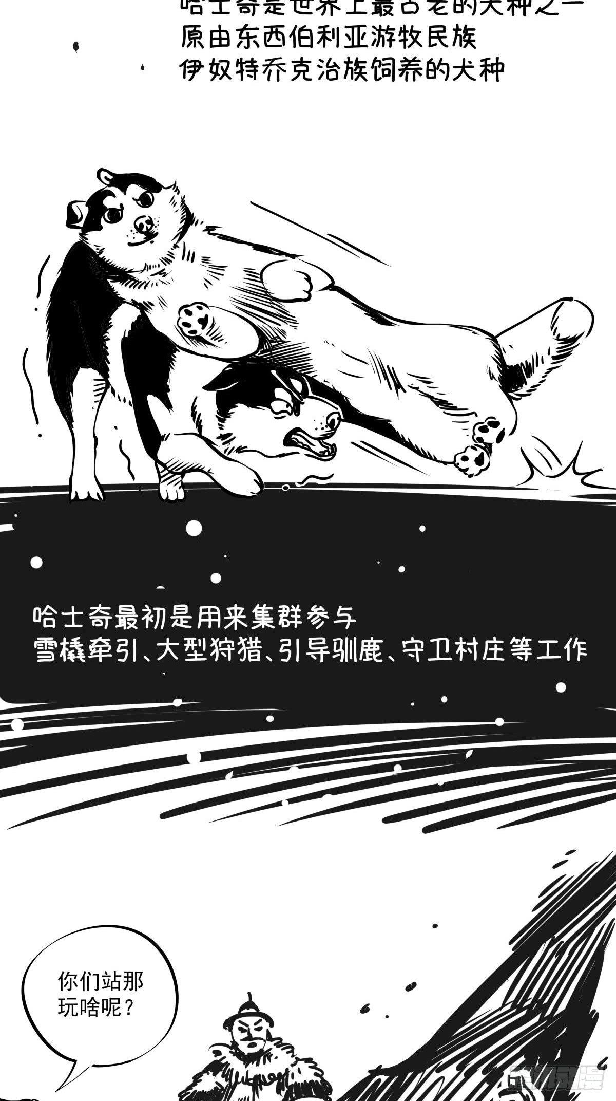 家里有矿啊，敢养哈士奇？(1/3)-第39话