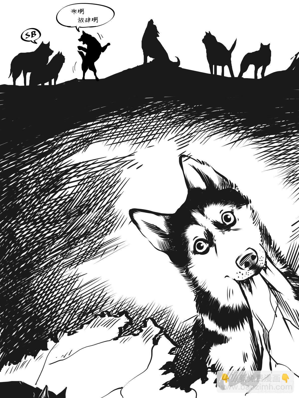 家里有矿啊，敢养哈士奇？(1/3)-第39话