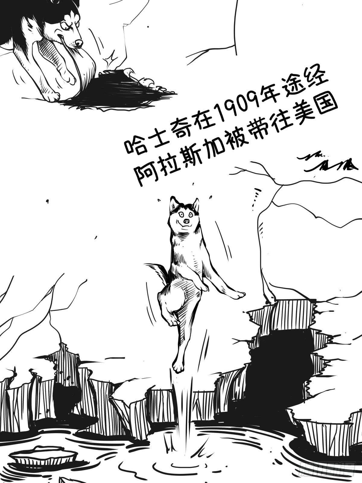 家里有矿啊，敢养哈士奇？(1/3)-第39话