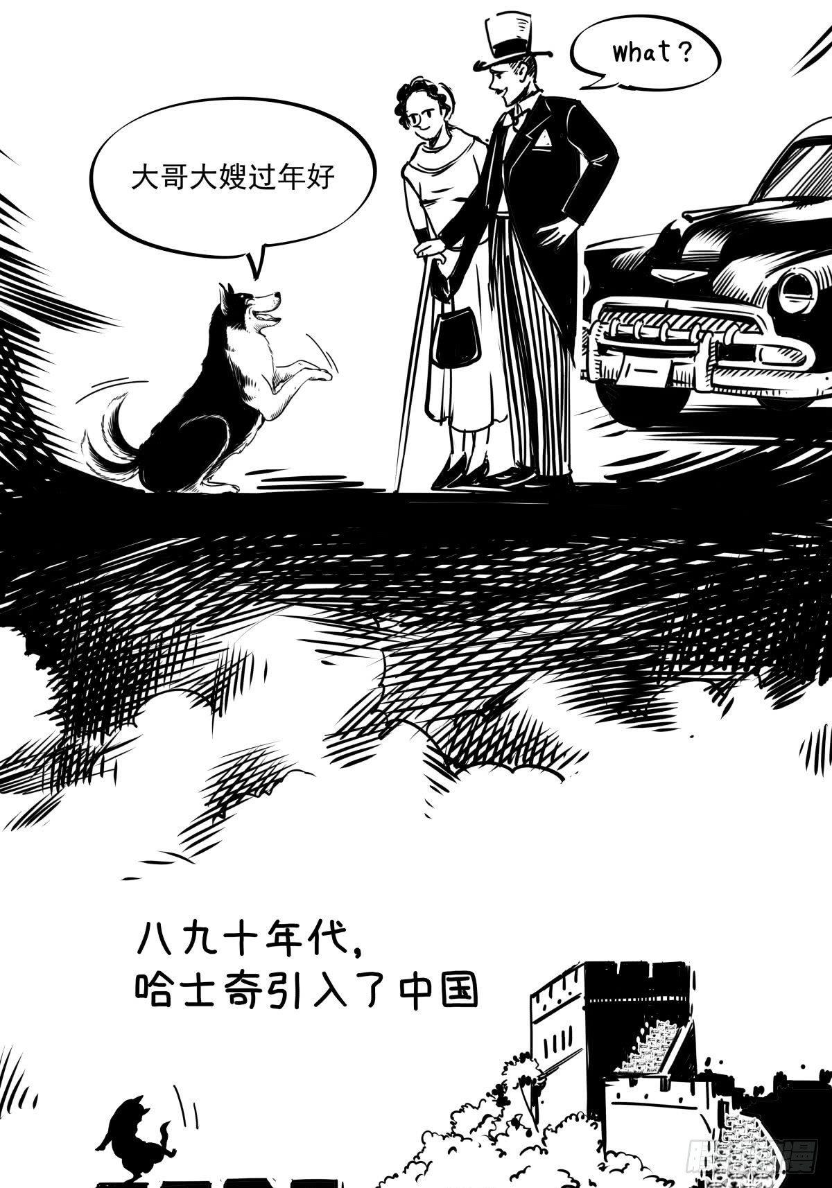 家里有矿啊，敢养哈士奇？(1/3)-第39话